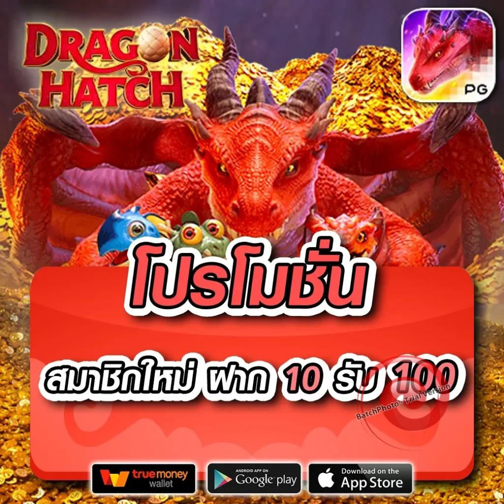 mgm 7379 แจกบ่อย
